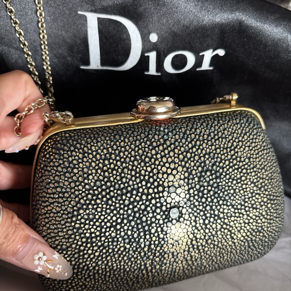 Dior Metallic Black and Gold Stingray Clutch